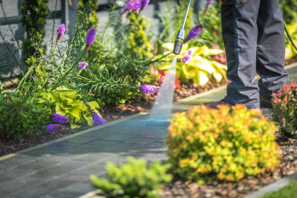 Best Driveway Pressure Washing  in Medford Lakes, NJ